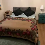 Acebos El Atico